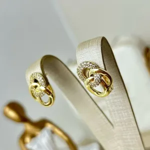 Argola Elos Entrelaçados Banhado a Ouro