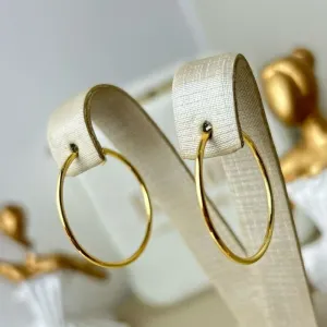 Argola Redonda Lisa PP Banhada a Ouro