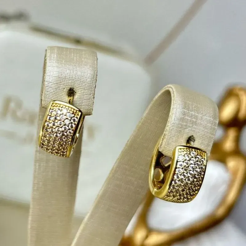 Argola Lene Banhado a Ouro