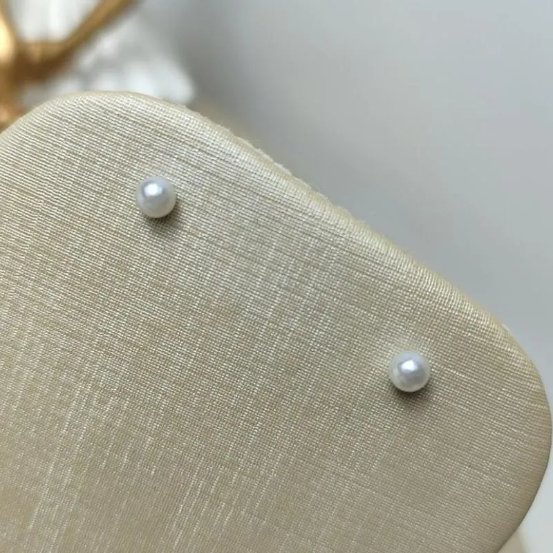 Brinco Melise Banhado a Prata