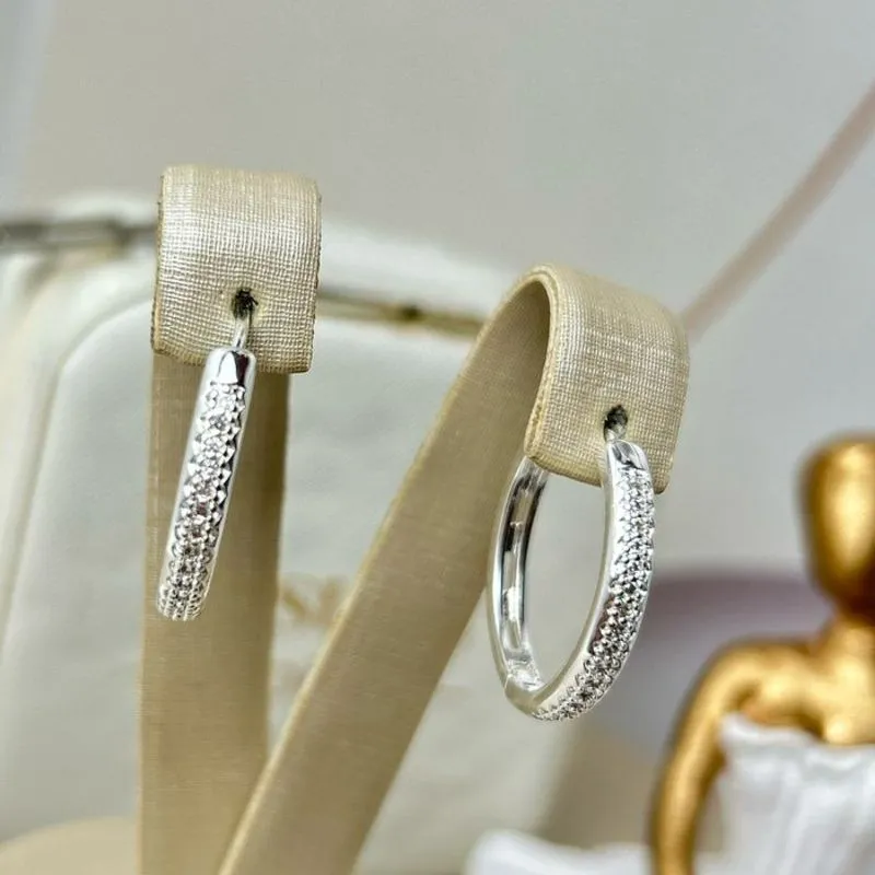 Argola Grande Craveja Banhado a Prata