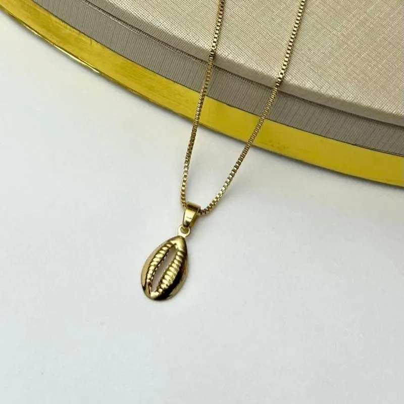 Colar Búzio Banhado a Ouro